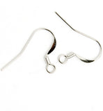 Stainless Steel Earring Fish Hooks - 20pcs - 17x24mm