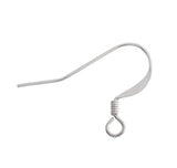 Stainless Steel Earring Fish Hooks - 20pcs - 17x24mm