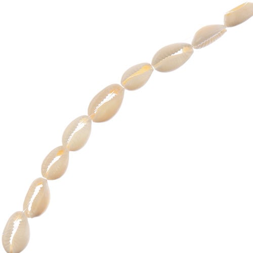 Cowrie Shell 10x16mm 12pc