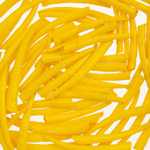 Dentalium Shell Yellow
