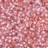 Czech Seed Bead 10/0 Tr. Pink Mix S/L - VIAL